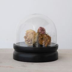 Modern Glass Cloche With Wood Base Set of 2