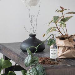 Modern Paulownia Wood Bud Vase