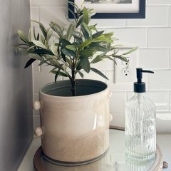 Modish Succulent Planter Pot