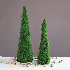 Mossy Twig Cone Tree