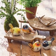 Multicolor Bird Figurine Set of 4