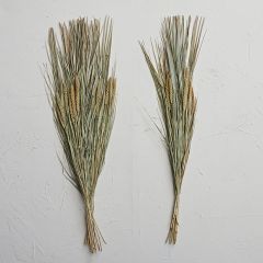 Natural Accents Dried Canary Grass and Date Palm Bunch