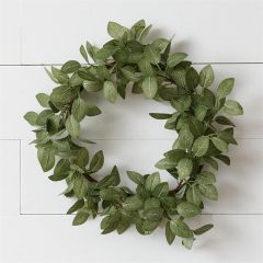 Natural Accents Fittonia Wreath