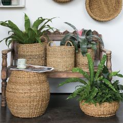 Natural Woven Round Handled Basket Set of 3