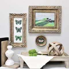 Nature Inspired Framed Art Collection