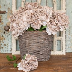 Neutral Hue Peony Stem