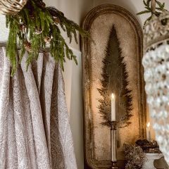 Norway Spruce Framed Wall Decor