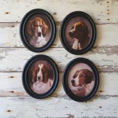 Oval Framed Hound Print Set of 4