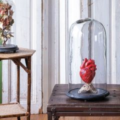 Oversized Glass Cloche With Wood Base