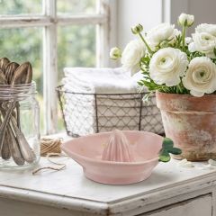 painted-strawberry-shaped-citrus-juicer