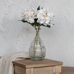 Pale Garden Cut Hydrangea Stem