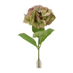 Pastel Gardens Pinky Green Hydrangea Stem