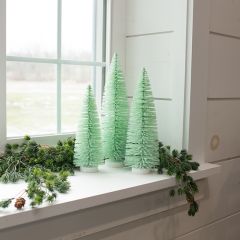 Pastel Green Bottlebrush Tree