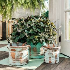 Patina Finish Metal Bucket Planter Set of 3