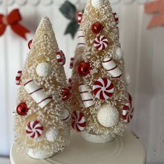 Peppermint Bottlebrush Tree