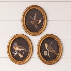 Perched Birds Framed Print Set of 3