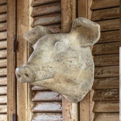 Pig Head Wall Mount