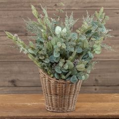 Pine and Eucalyptus Stem