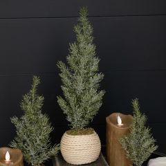 Pine Tree With Braided Base 16 Inch
