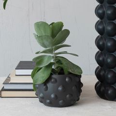 Polka Dot Terra Cotta Planter Pot 4 Inch