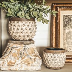 Polka Dot Textured Ceramic Planter