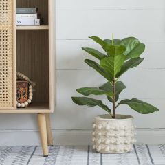 Pom Pom Textured Cement Planter Set of 2