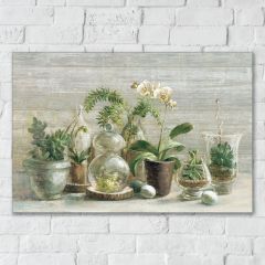 Pots and Plants Botanical Art