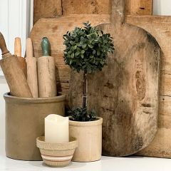 Potted Boxwood Ball Topiary 16 Inch Set of 2