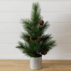 Potted Decorative Pine Tree