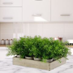 Potted Faux Asparagus Ferns In Tray