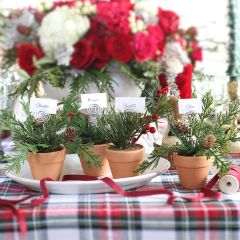 Potted Faux Evergreen Tree Place Card Holder Set of 4