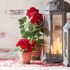 Potted Faux Geranium