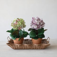 Potted Faux Hydrangea Assorted Set of 2