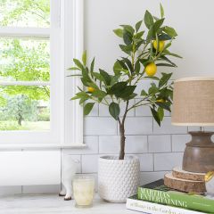 Potted Faux Lemon Tree