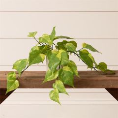 Potted Faux Philodendron Plant