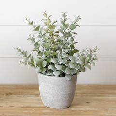 Potted Faux Succulent