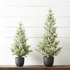 Potted Iced Fir Tree