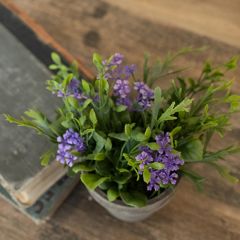 Potted Jasmine Arrangement