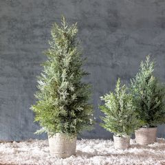 Potted Juniper Cone Shrub 28 Inch