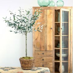 Potted Olive Tree Topiary