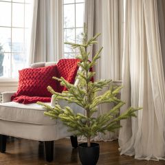 Potted Pine In Black Pot