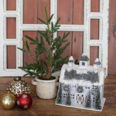 Potted Pine In Handled Pot