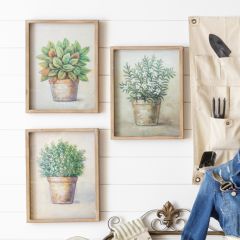 Potted Plant Wall Print Set of 4
