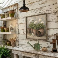 Potting White Geraniums Square Canvas Printed Wall Art