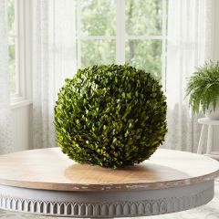 Preserved Boxwood Decorative Ball 16 Inch