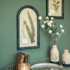 Pressed Fern Arched Wall Decor