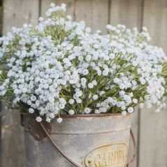 Pretty Pale Flower Spray