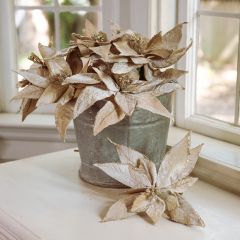 Pretty Pale Poinsettia Stem