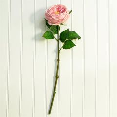 Pretty Pink Rose Stems Set of 12