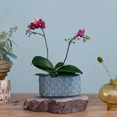 Reactive Glaze Embossed Oval Planter